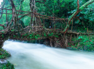 Meghalaya Itinerary 7 days Foods and Stay