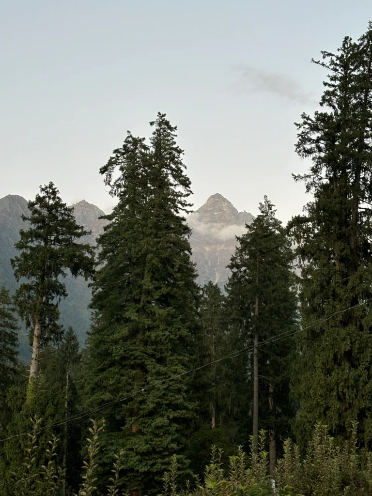 Villages in Himachal