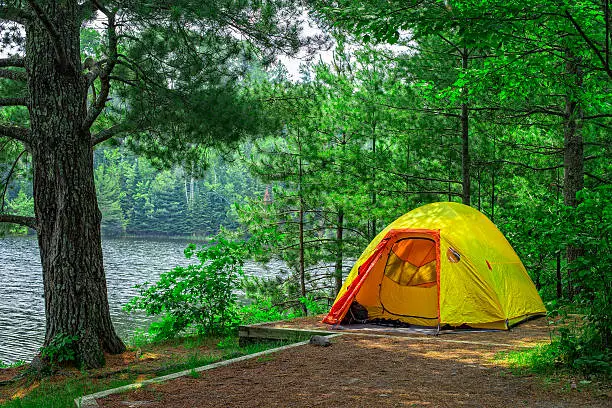 travel camp for forest