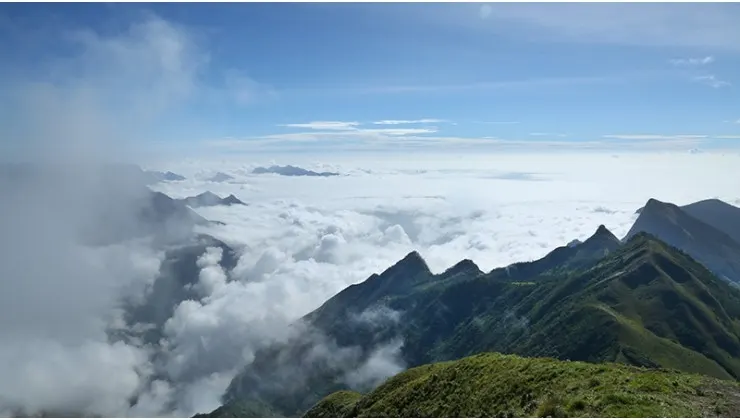Munnar’s Meesapulimala Trek, Kerala