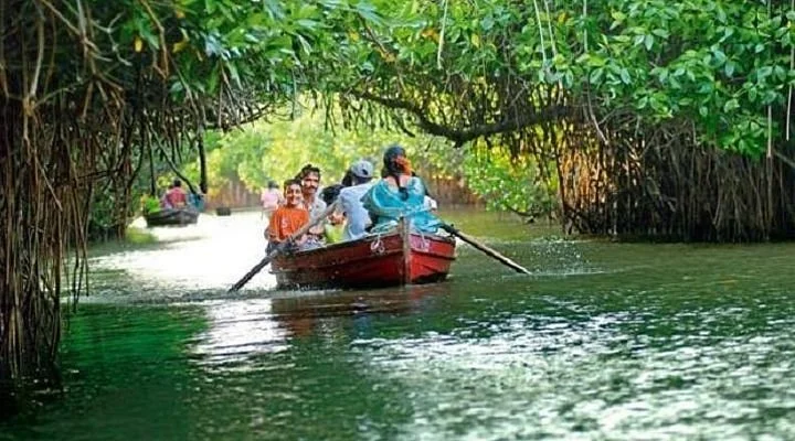 Pichavaram in Tamil Nadu, A Life Tour