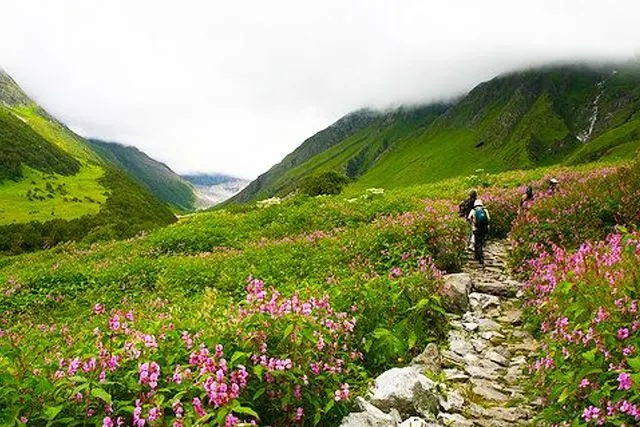Valley of Flowers treks in Uttarakhand