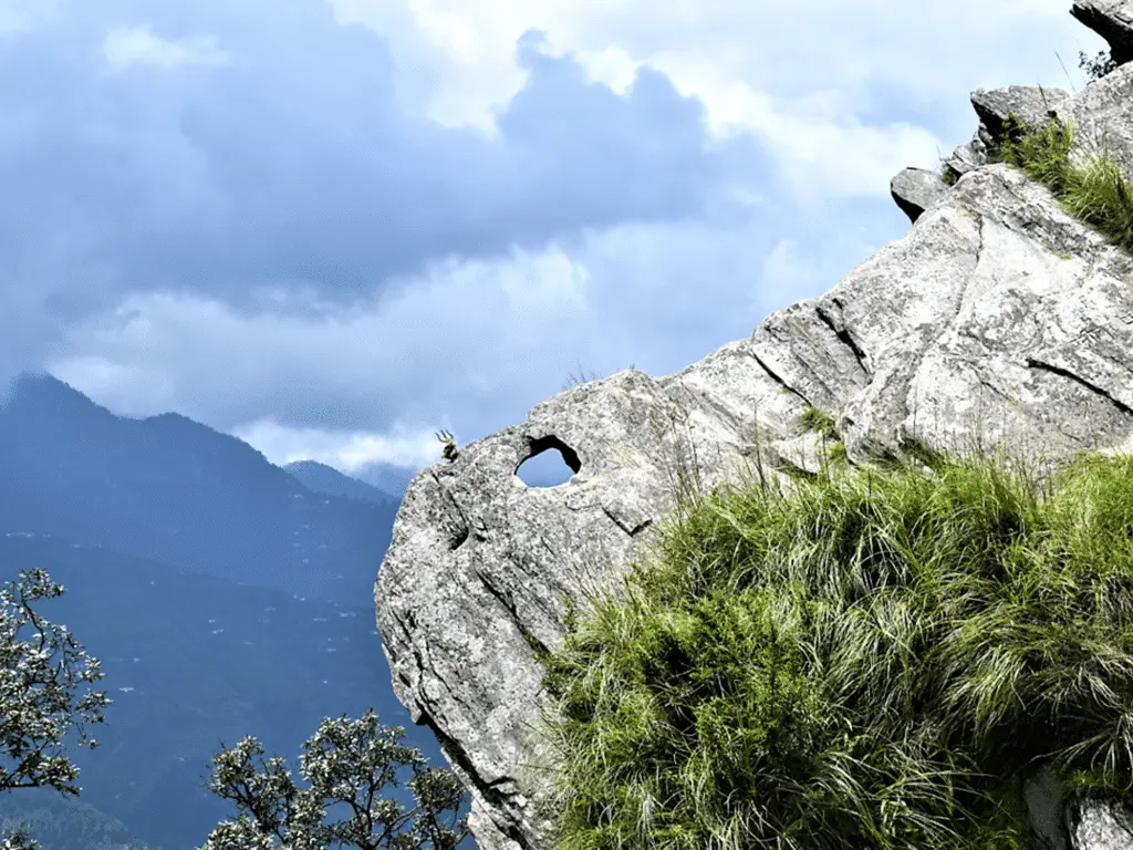 top holiday destinations in India