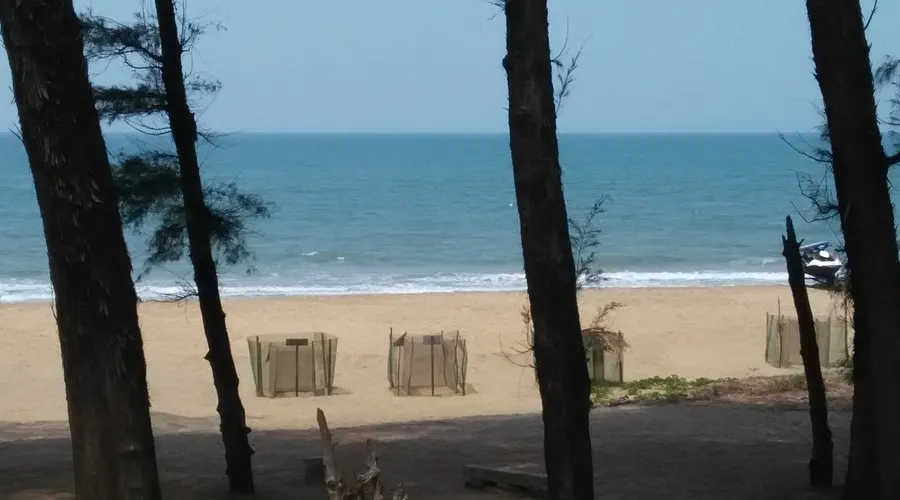 where is Galgibaga Beach