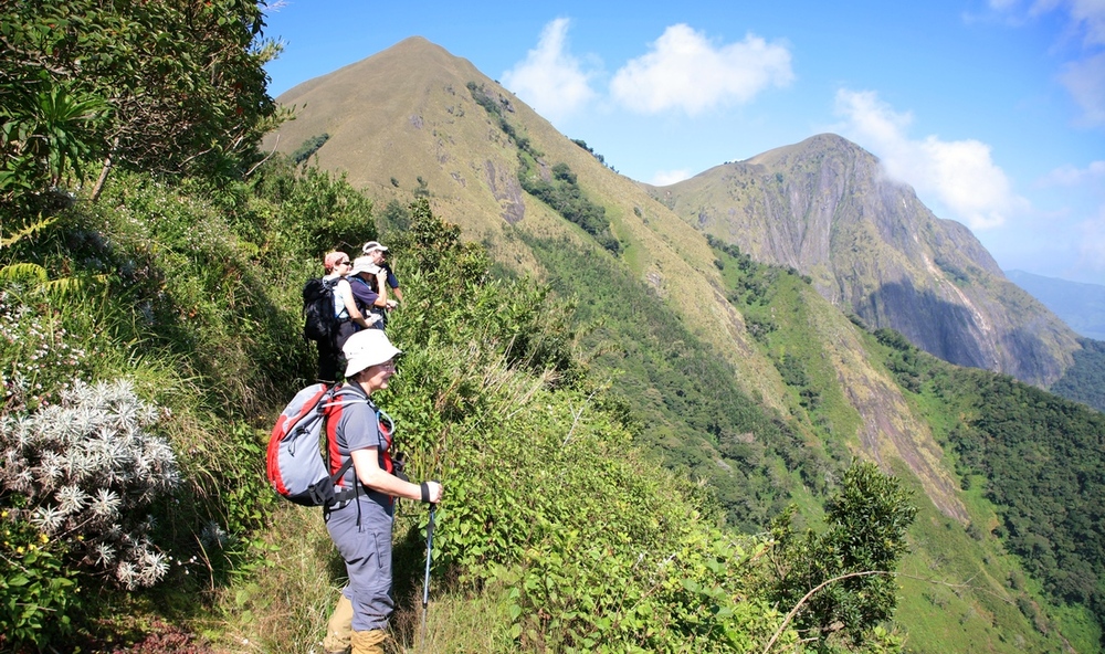 How to Become a Trip Coordinator in India