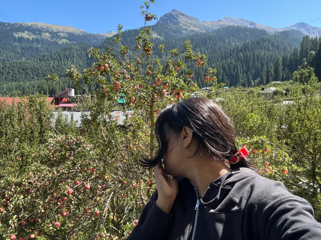 shoja in Himachal