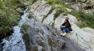 How to reach Shoja by Road