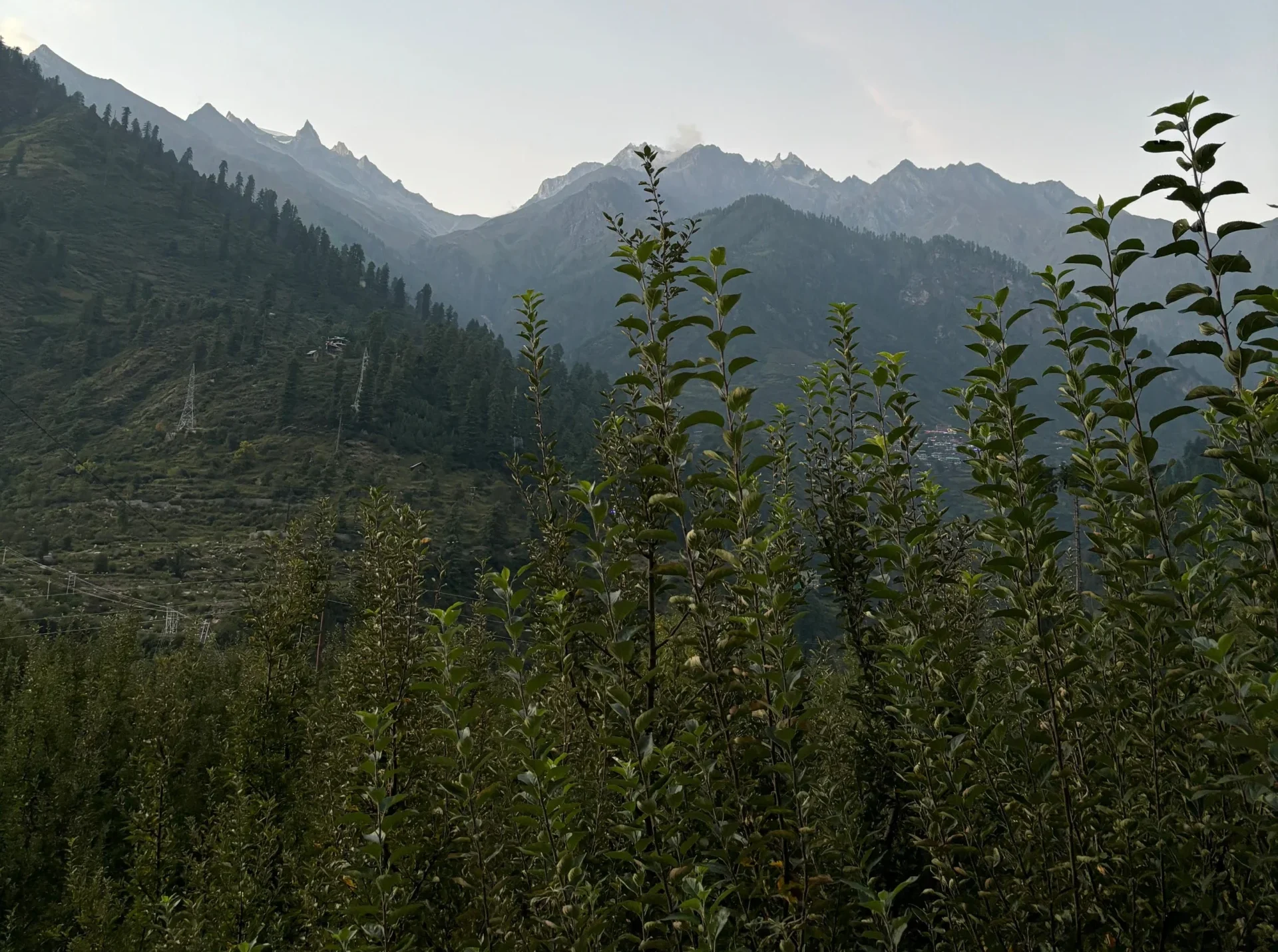 Planning for New Year: 8 Must-Visit Places in 2026 in India