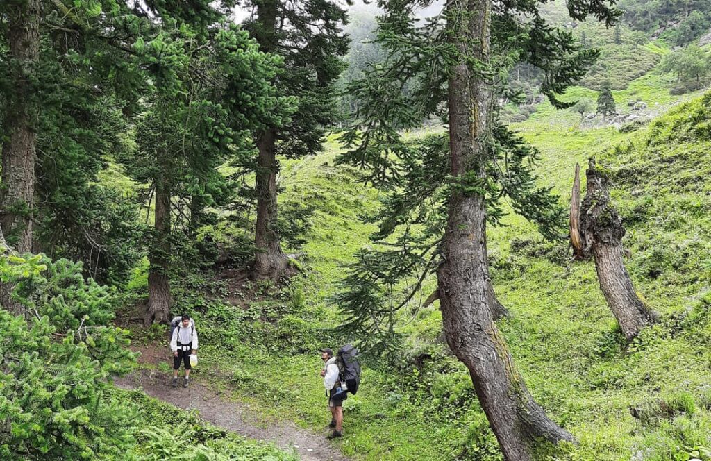 places to explore in mcleod