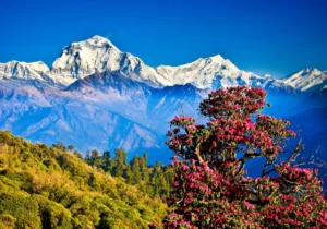 Places of nepal