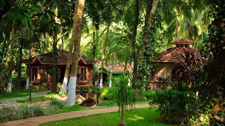 Travel and Tourism Courses in Kerala