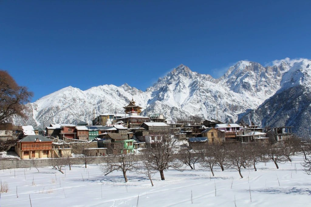 kalpa kinnaur chitkul tour
