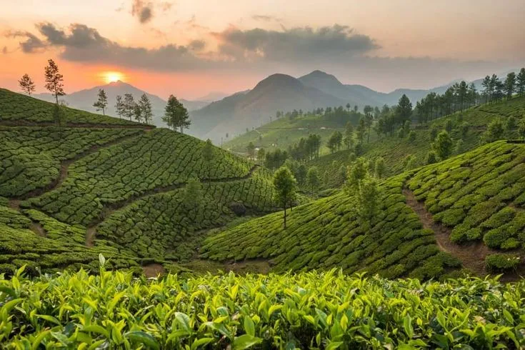 Travel and Tourism Courses in Kerala