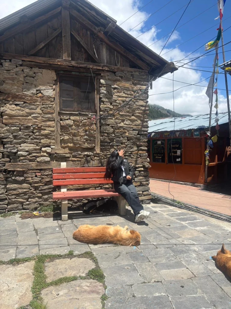 kalpa kinnaur chitkul tour