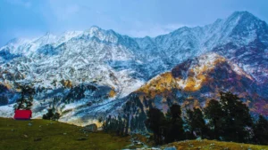 things to do in kangra