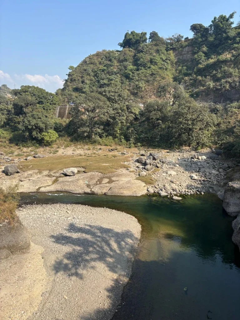 things to do in kangra